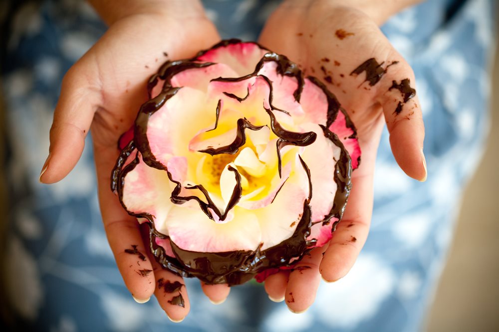 Hands cradling a chocolate-dipped rose — Kanya's signature couverture work