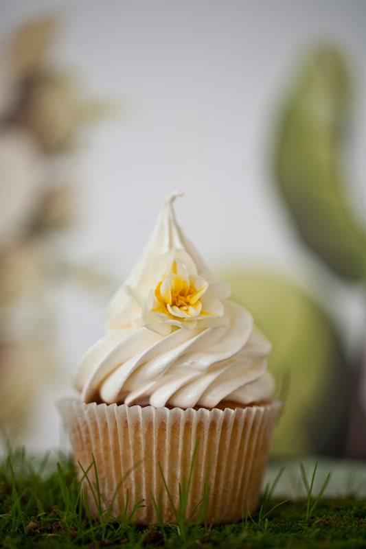 Petite creations — a single buttercream-swirled cupcake topped with a fresh daffodil, resting on garden moss in soft natural light